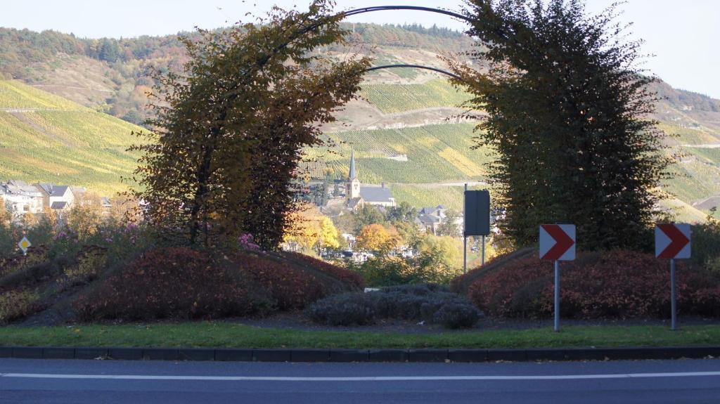 Hotel-Restaurant Ehses Zeltingen-Rachtig Buitenkant foto